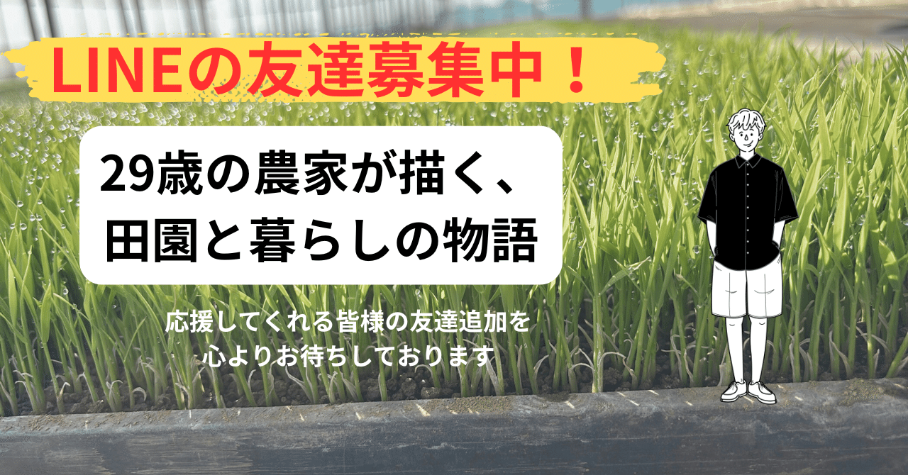 TACHIFARM】29歳の農家が描く、田園と暮らしの物語｜shoei