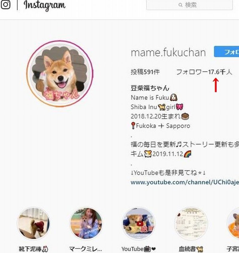 豆柴を飼ってインスタフォロワー1万人以上のインフルエンサーになった私と愛犬の話 Paramo Note 豆柴を飼ってインスタフォロワー1万人以上のインフルエンサーになった私と愛犬の話 Paramo Note
