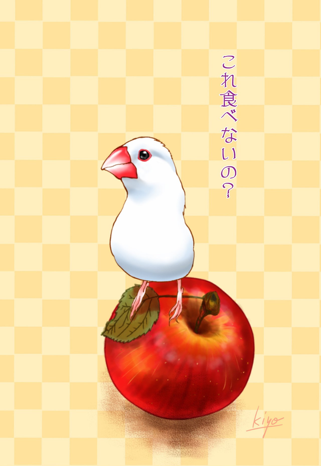 印刷 文鳥 可愛い 動物画像のダウンロード