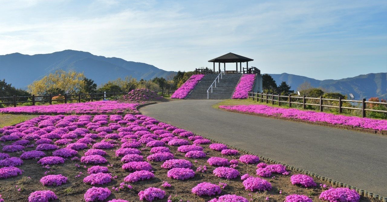 芝桜と 空の公園 おおの たつや Note