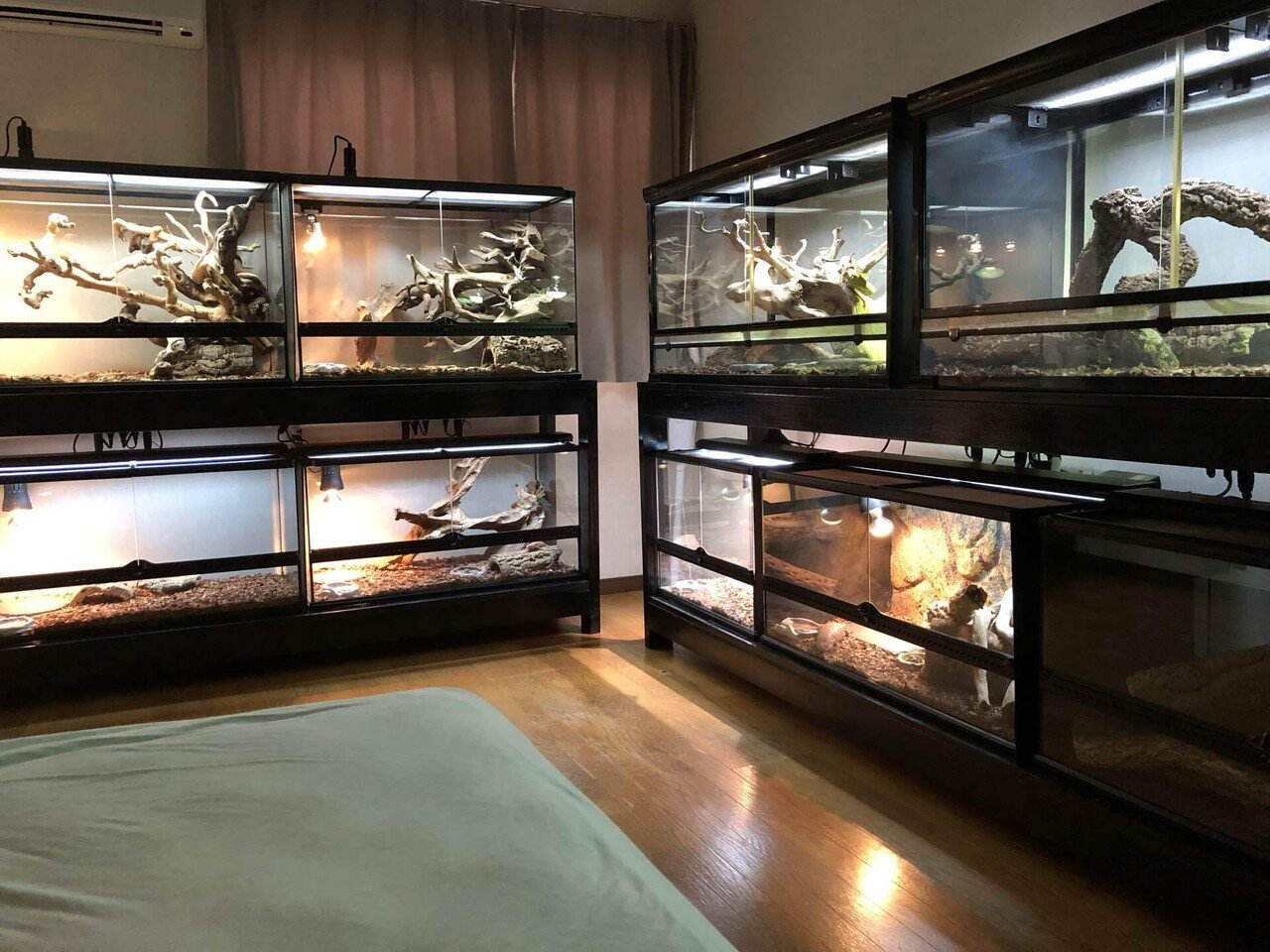 DEZERT 「変」「飼育部屋」 DEZERT 「変」「飼育部屋」 We have introduced the best