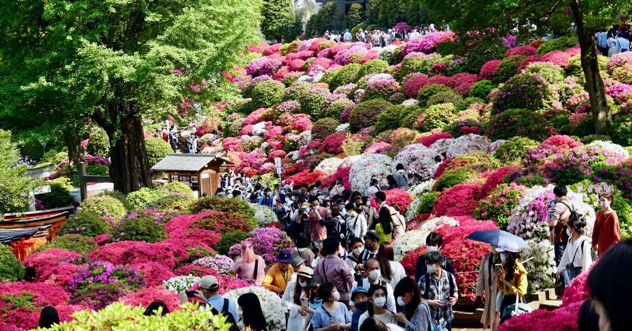【東京】つつじまつり！〜根津神社〜