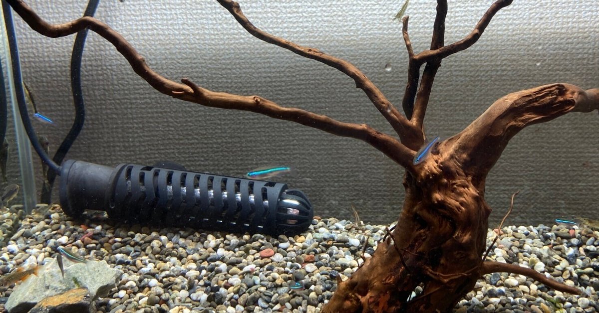 アクアリウム】Charm産流木でレイアウト変更｜たけのこ