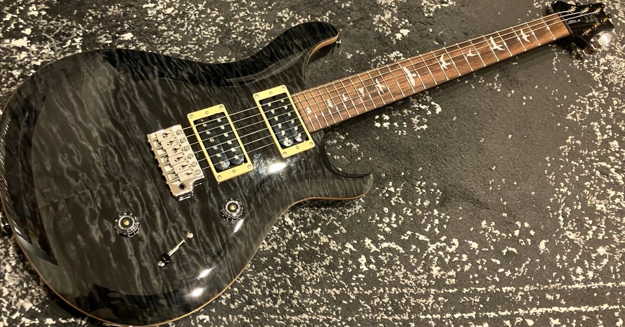 PRS SE Custom24 Black Cherry 改造 PRS SE CUSTOM24をCore仕様に改造して買った話｜ochi [Epic Vanguard