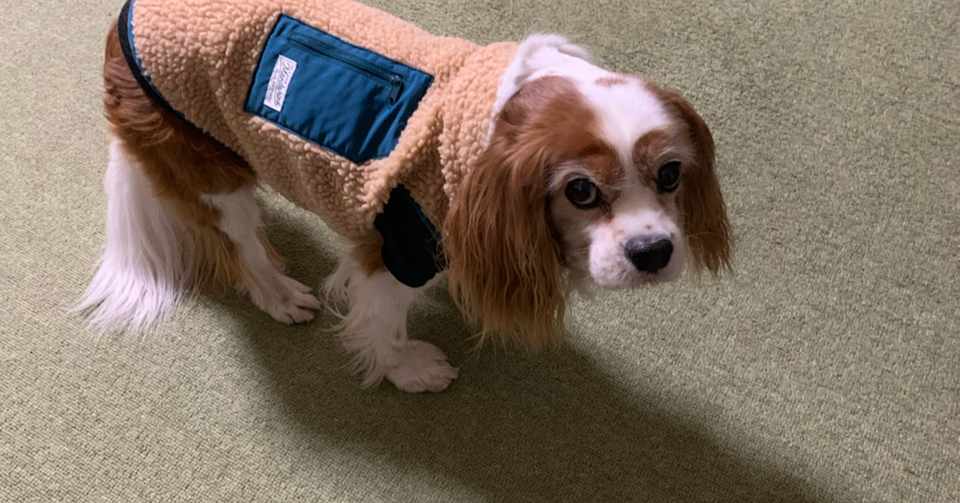 気圧 かまちゃん Note