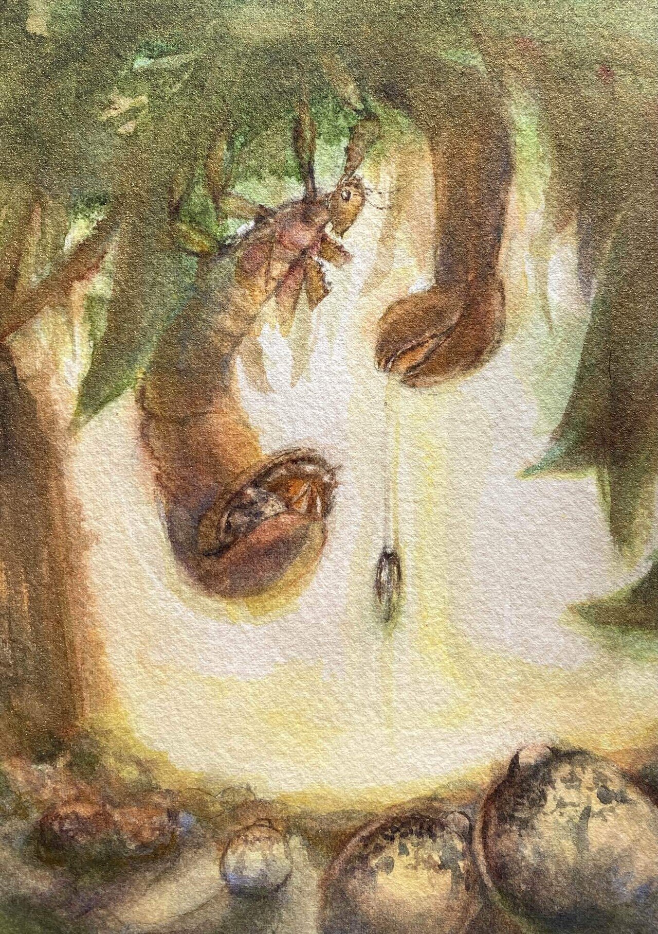 カマキリ観て時間が溶ける(#314)｜Ako(@akolamble)