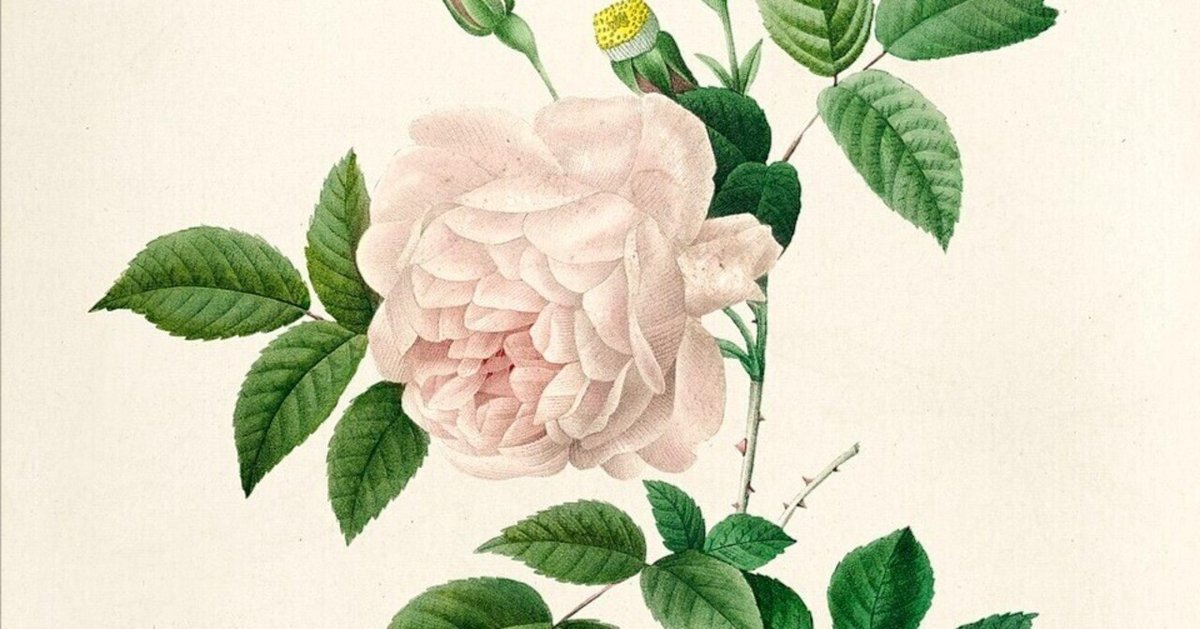 永遠に咲く花 ── ルドゥーテとジョゼフィーヌの「バラ図譜 永遠に咲く花 ── ルドゥーテとジョゼフィーヌの「バラ図譜