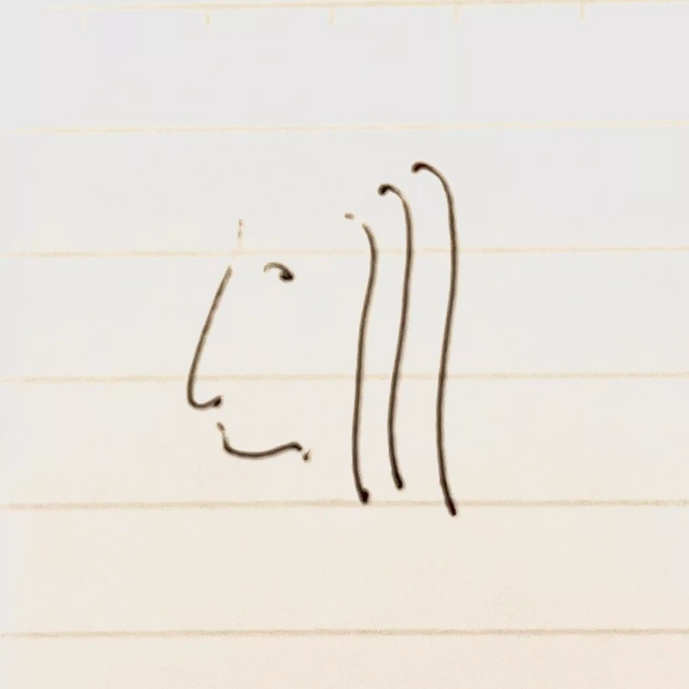 大川先生行状記