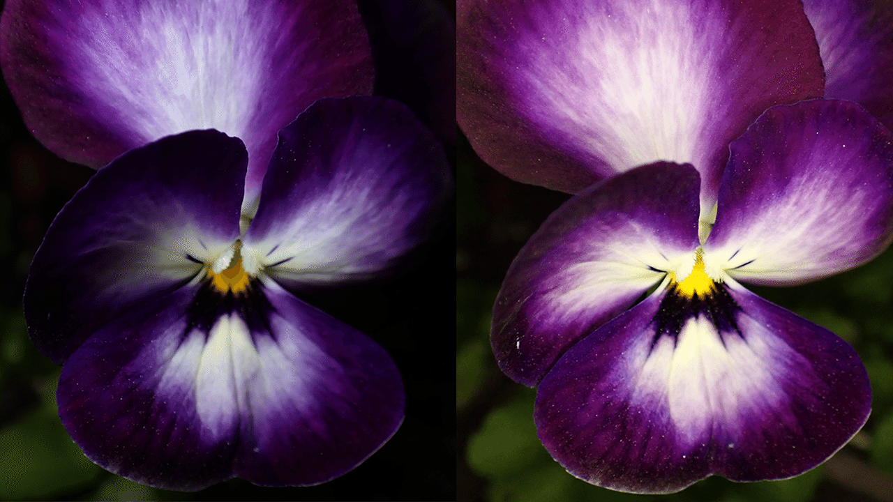 TG-7 | フラッシュディフューザー FD-1・LEDライトガイド LG-1比較｜こ