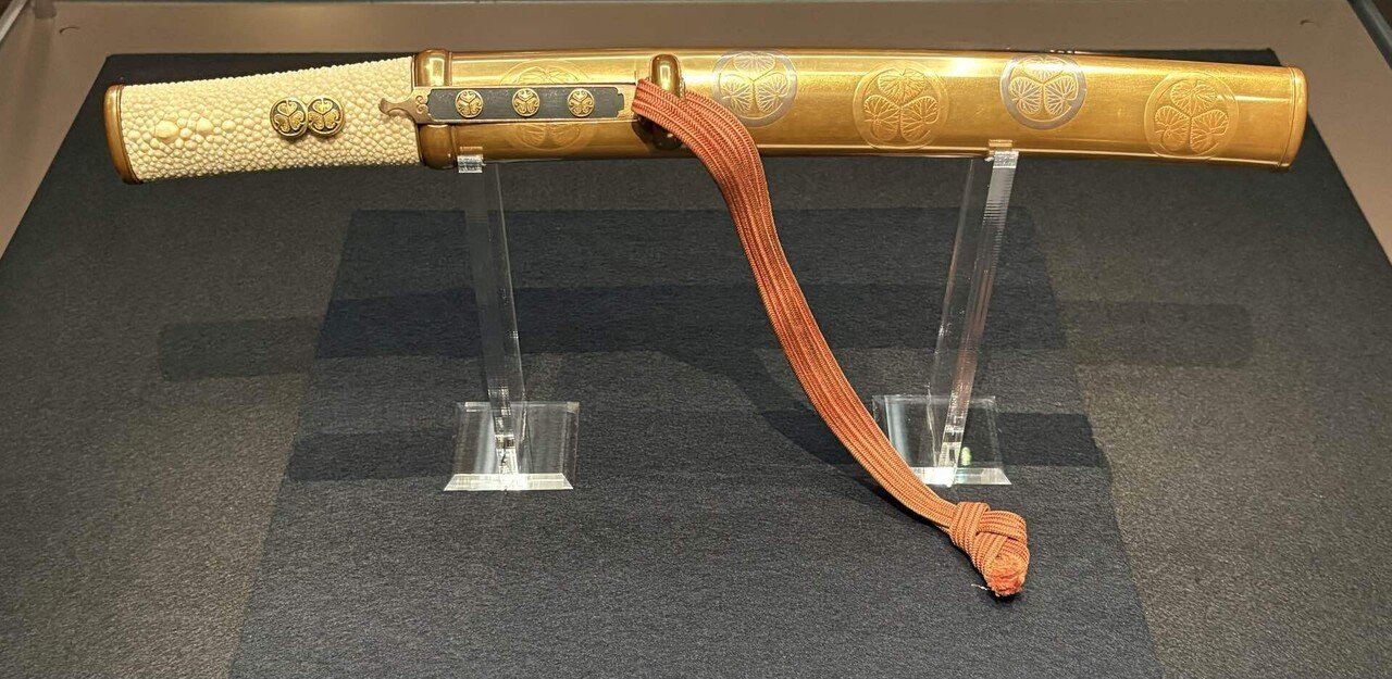 巴御前 戦国武将を支えた女剣士／ホームメイト