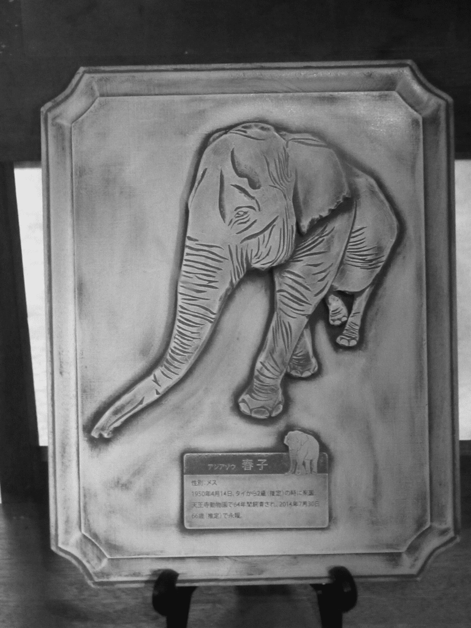 新訳 動物園が消える日 のための取材ノート 33 群盲象を Zoo を撫ず おらんうーたんになりたい Note 新訳 動物園が消える日 のための取材ノート 33 群盲象を Zoo を撫ず おらんうーたんになりたい Note