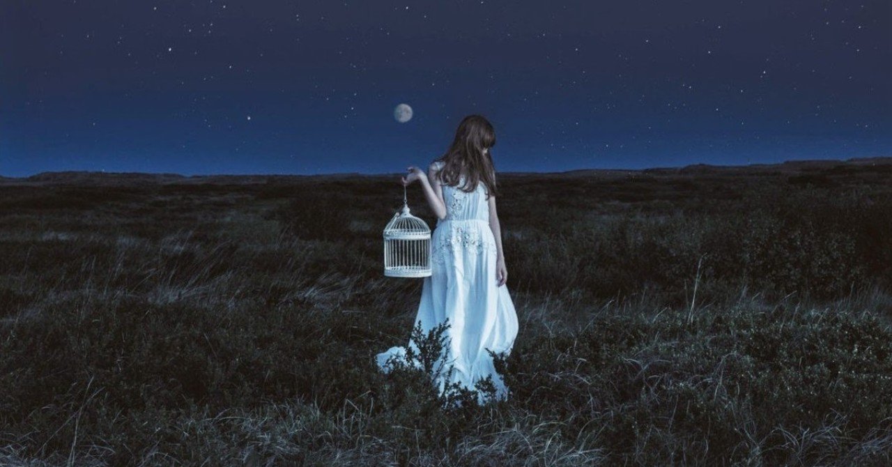 2014年5月 Aimer / StarRingChild｜BB