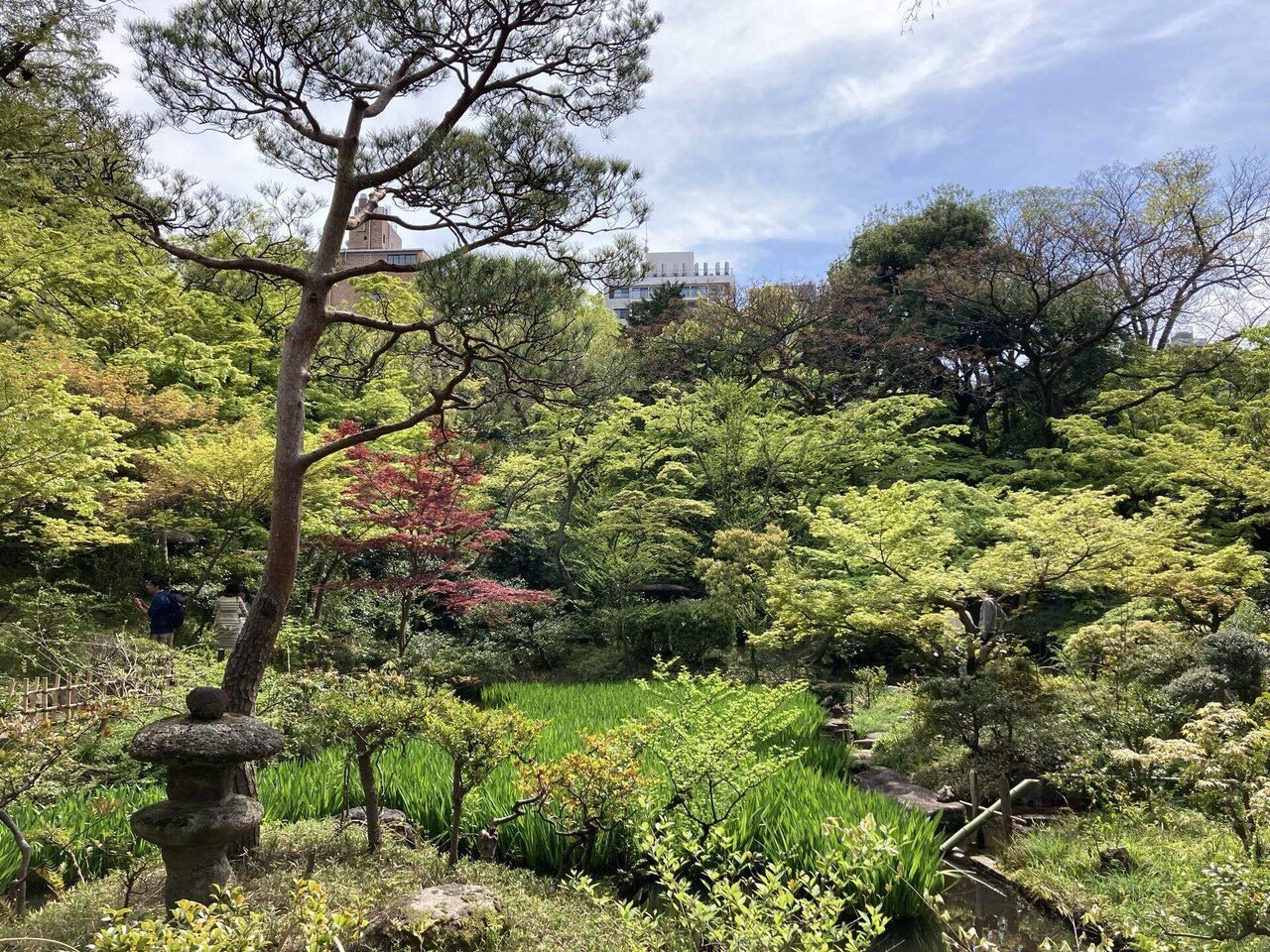根津美術館の庭園を散策すると思い出す場所｜アートジェンヌ