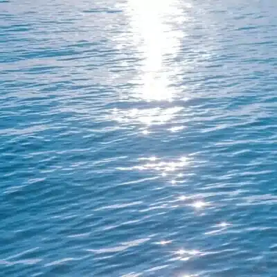 梅子