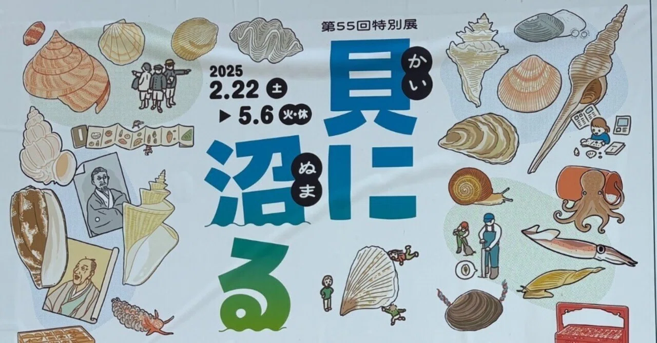 貝に沼る展に行ってきた話1｜堀江の蜜柑酒