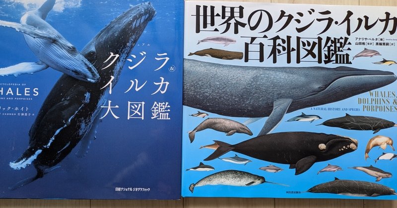 アクアマリンふくしまの飼育員さんに聞いてみた！Vol.3