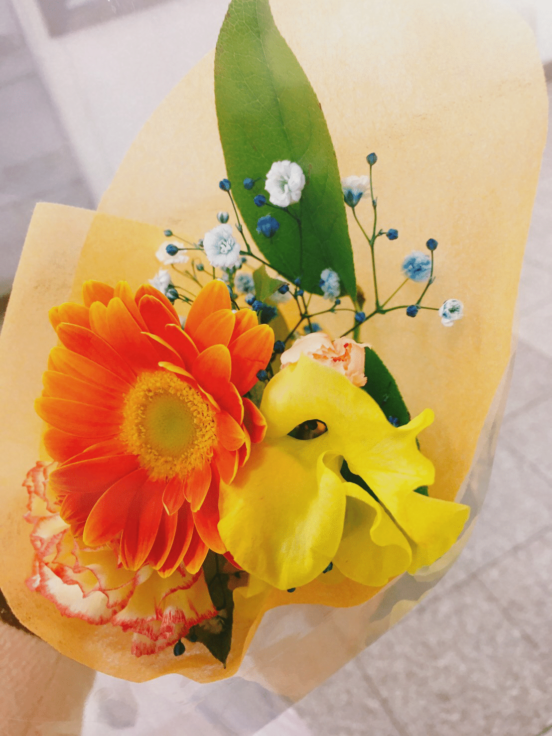 1 29 本日お誕生日 の皆様 お誕生日おめでとうございます 皆様にとってより良い１年になりますように 今日もいってらっしゃい 旅人 人生をツナグ取材3万人越 Note