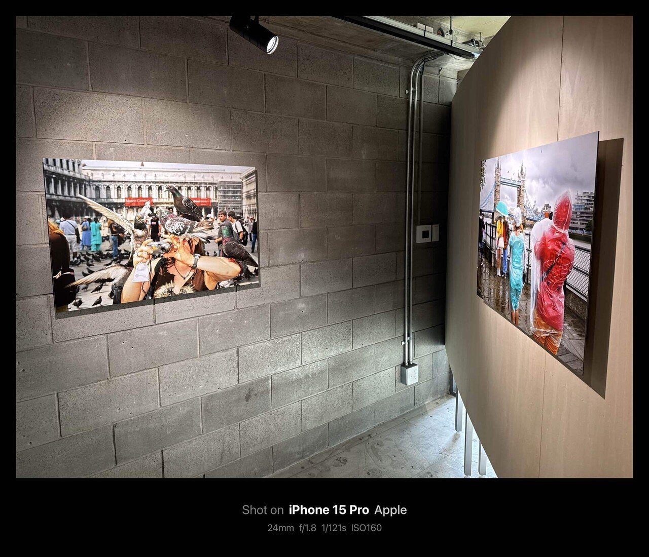 Martin Parr マーティン・パー Small World In collaboration