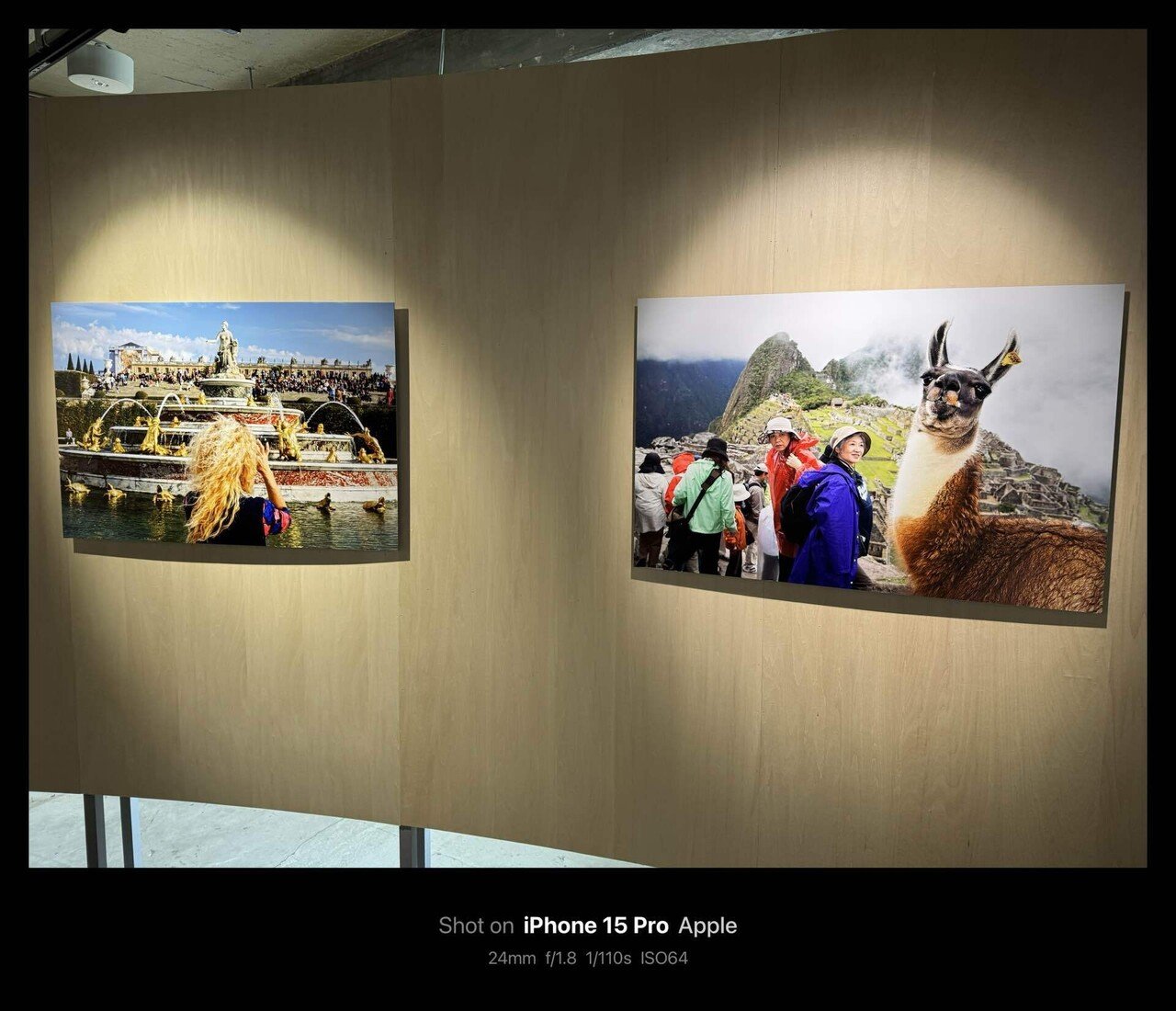 Martin Parr マーティン・パー Small World In collaboration