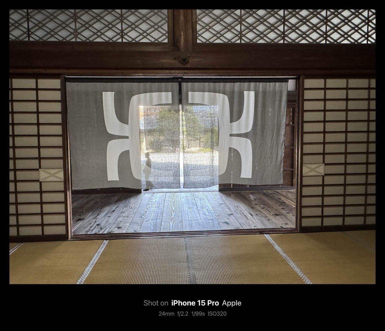 Eamonn Doyle イーモン・ドイル K@東本願寺 大玄関