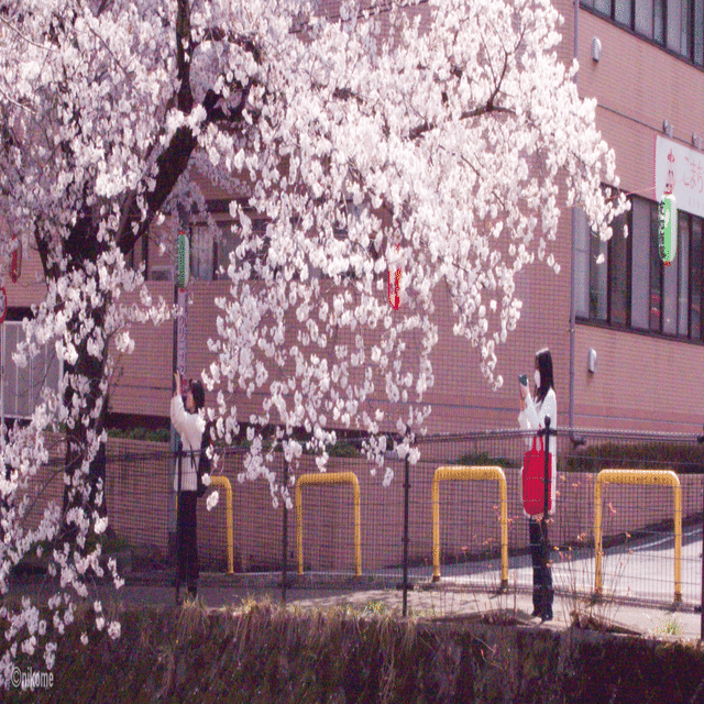 シャッターチャンスを奪うのは“設定の迷い”だった。16年目の再発見