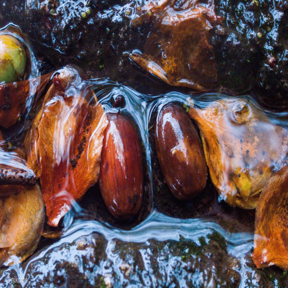 シャッターチャンスを奪うのは“設定の迷い”だった。16年目の再発見