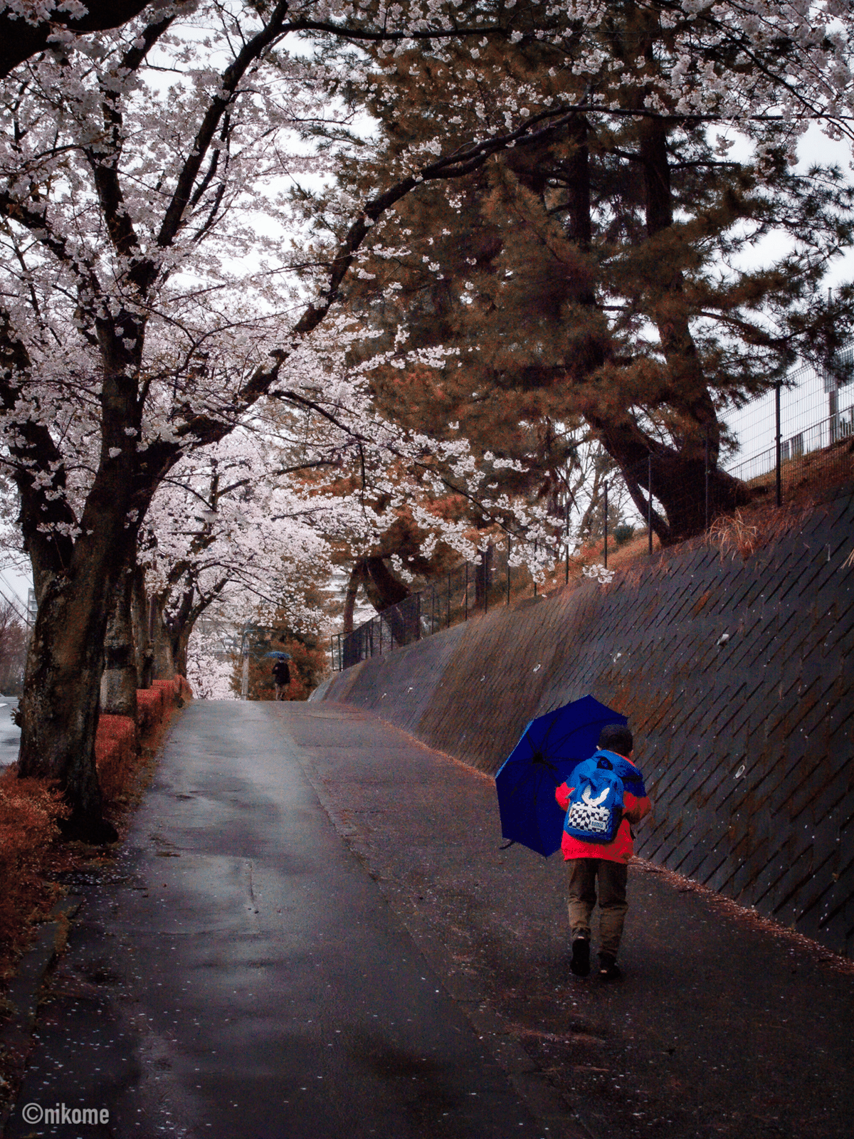 最終値下！RICOH GX200 シャッター1748回！ 最終値下！RICOH GX200 シャッター1748回！