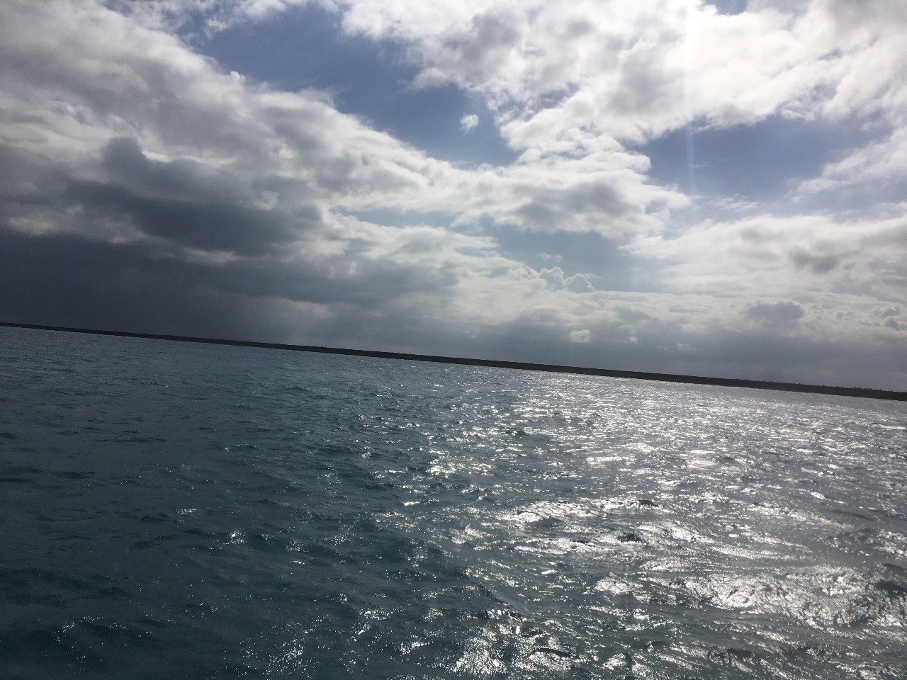44歳女がほぼ初めて離島に行った 波照間島旅 旅の不安なんとかなった 船編 人間 Note 44歳女がほぼ初めて離島に行った 波照間島旅 旅の不安なんとかなった 船編 人間 Note