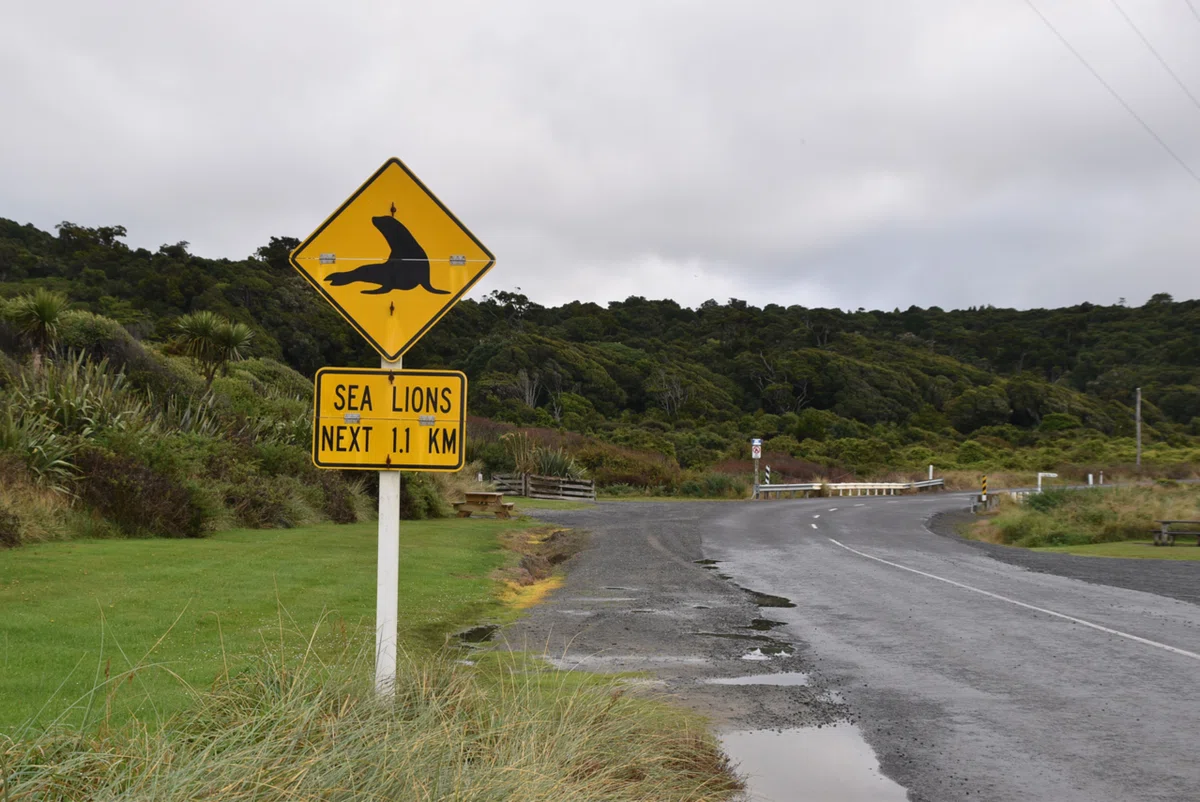 世界一周 day375【NZ南島🇳🇿ロードトリップday12】~世界一周新婚旅行~｜TK