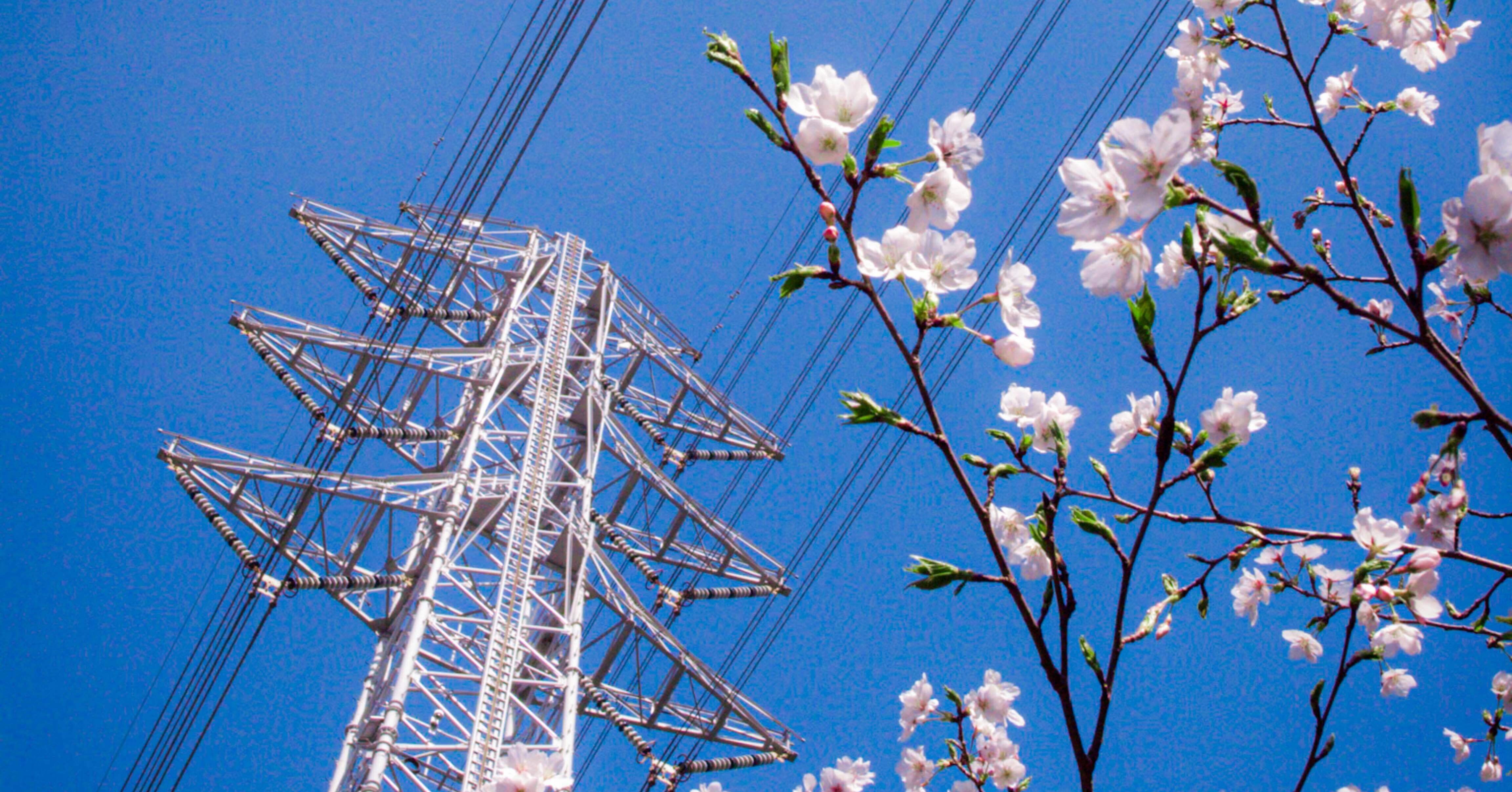 46e5fdb8a7d6701c4c005fe2ea3514