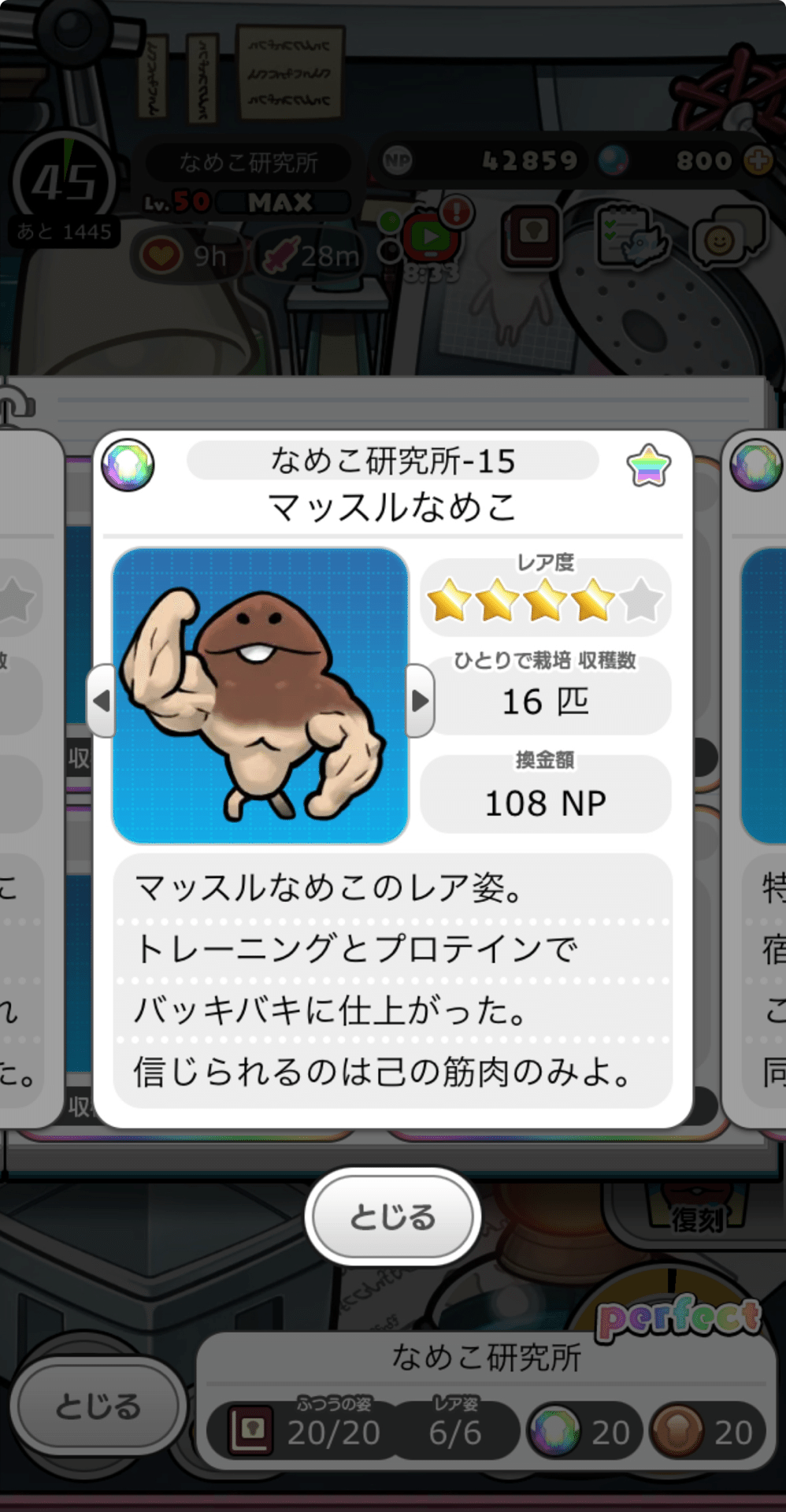 みんなのなめこ栽培キット なめこ研究所 メダルコンプリート！｜もも