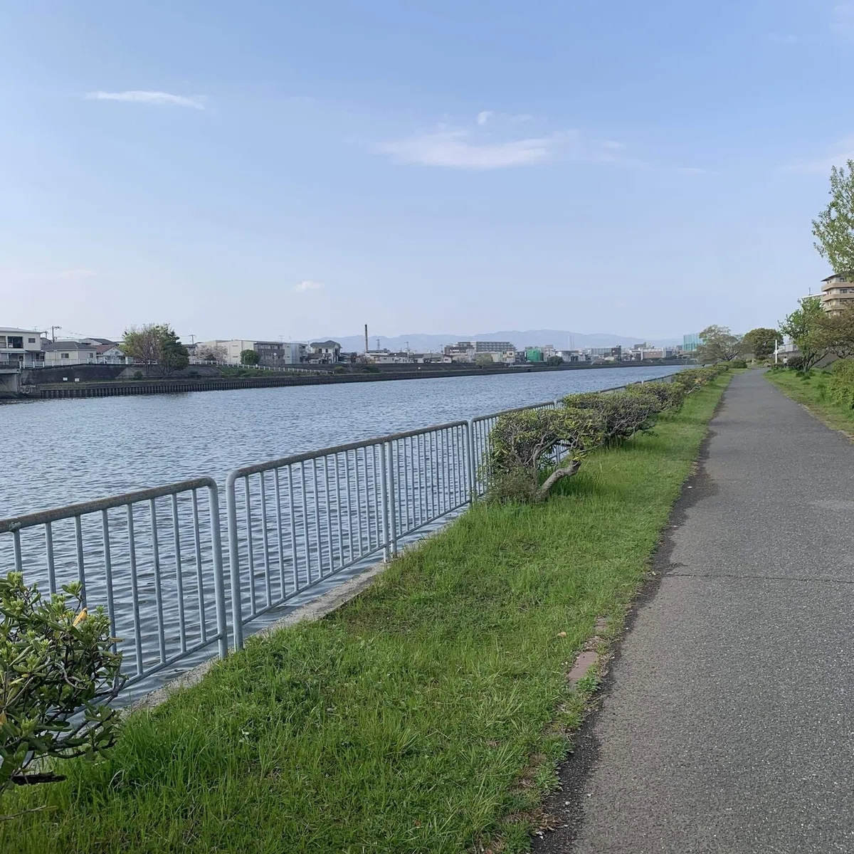 お散歩の先に待っていたもの|つやたまご