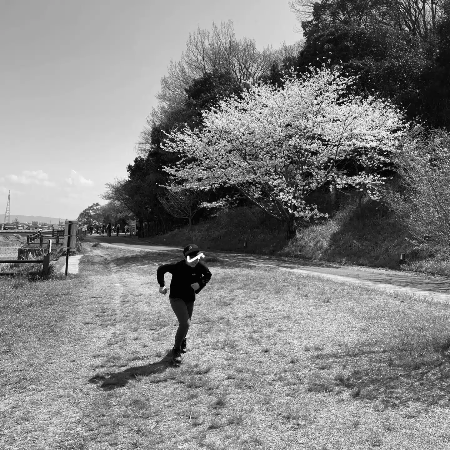 ともぞう
