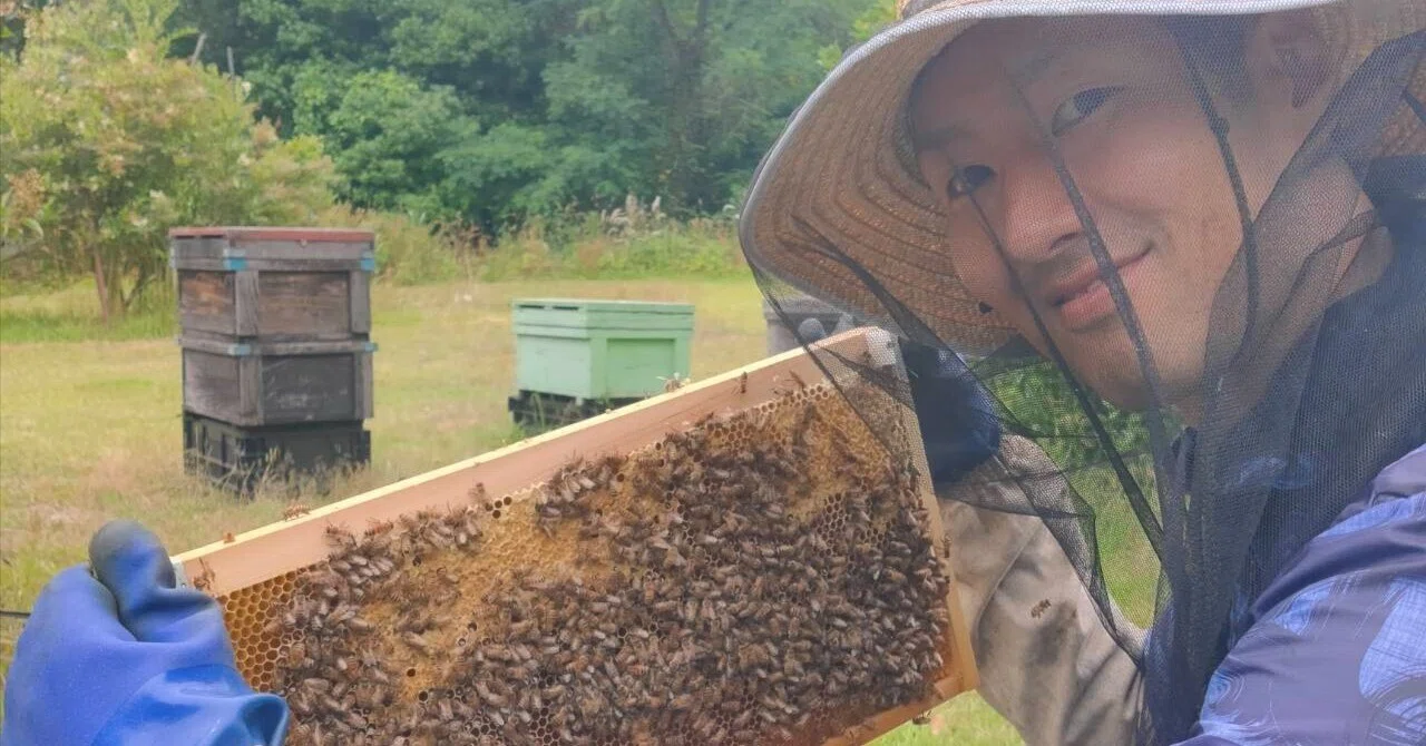 本物のはちみつ」、食べたことありますか？都会の日常から、ミツバチと 