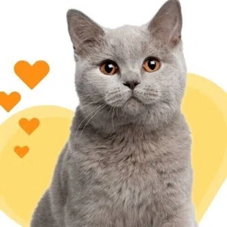 mi 💕管理栄養士　健康情報発信💕