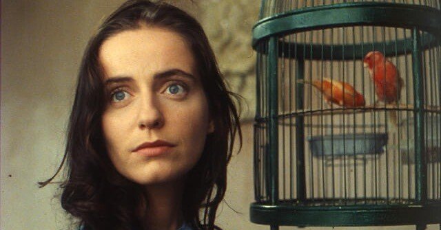 映画】アブラハム渓谷 Vale Abraão/マノエル・ド・オリヴェイラ｜marr