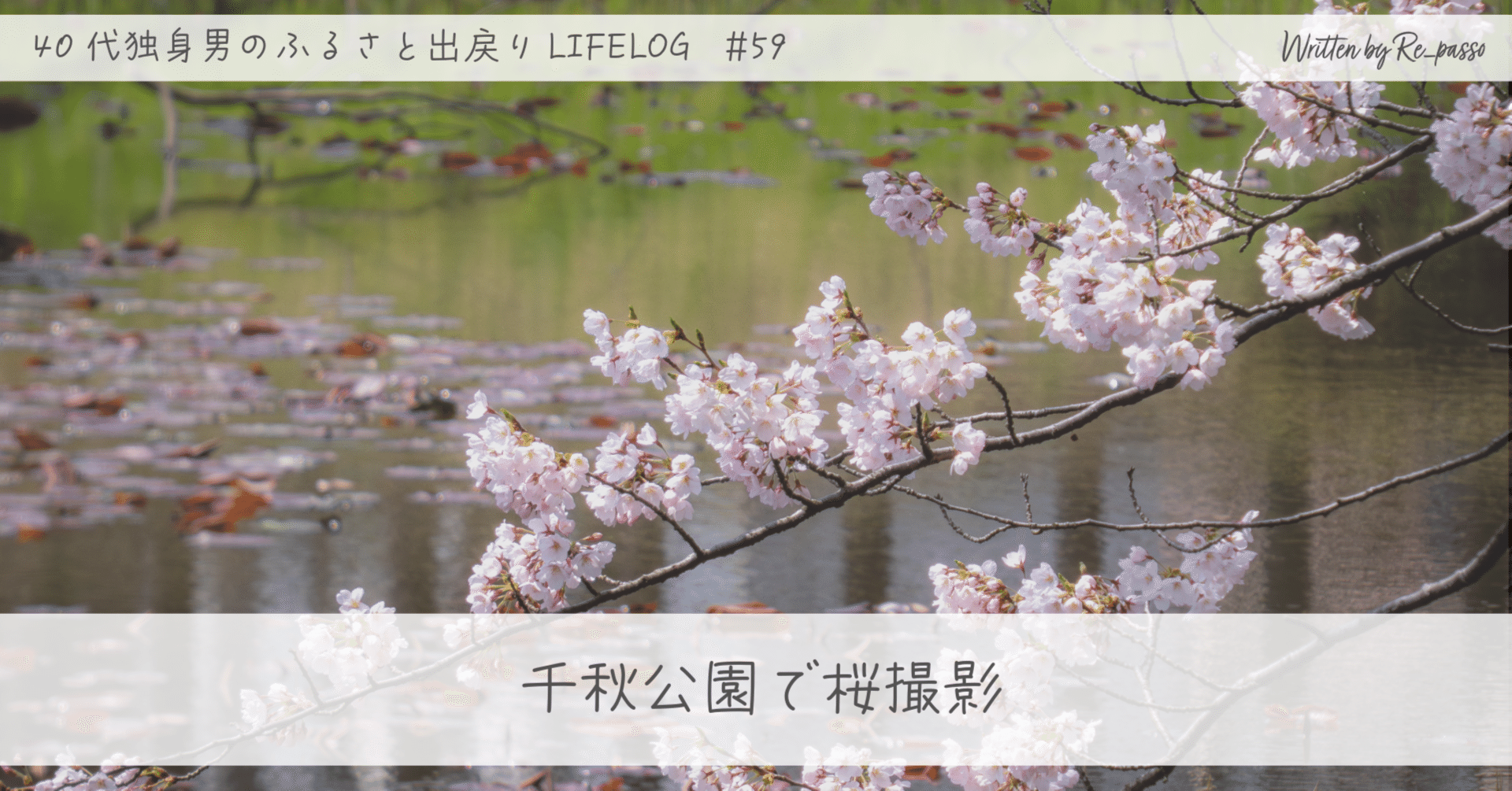 千秋公園で桜撮影 / Photolog【LUMIX FZ85D】｜Re_passo