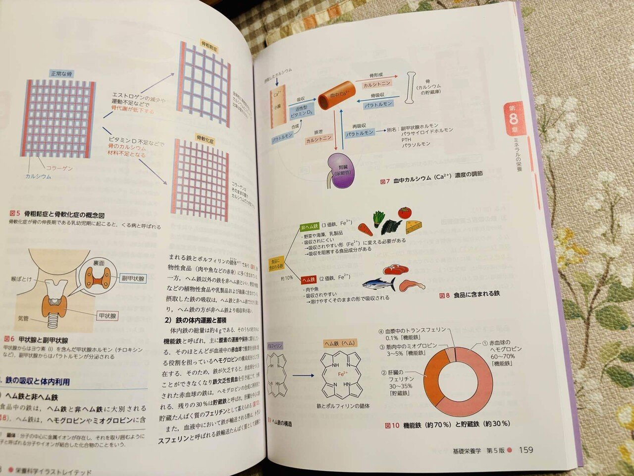 日本女子大学　通信　教科書 日本女子大学 通信教育教科書 まとめ売りの通販 by オレンジ's