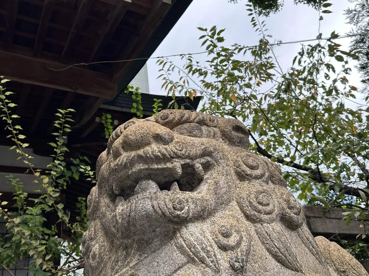 画像