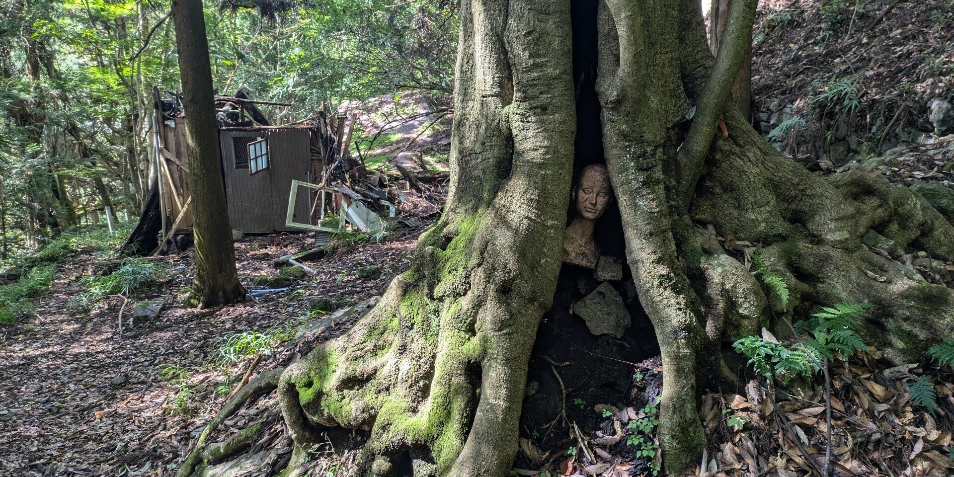 8ef74d70e1a435fe31b00d5657a75a