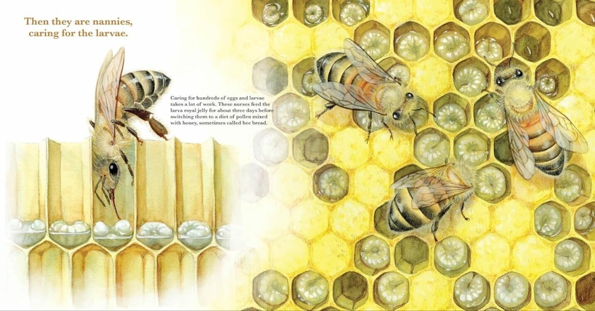 初売りセール 制作ウラ話】ミツバチ絵本“They Work: Honey Bees, Nature's アクセサリー