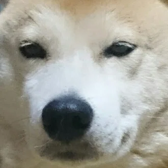 さわら