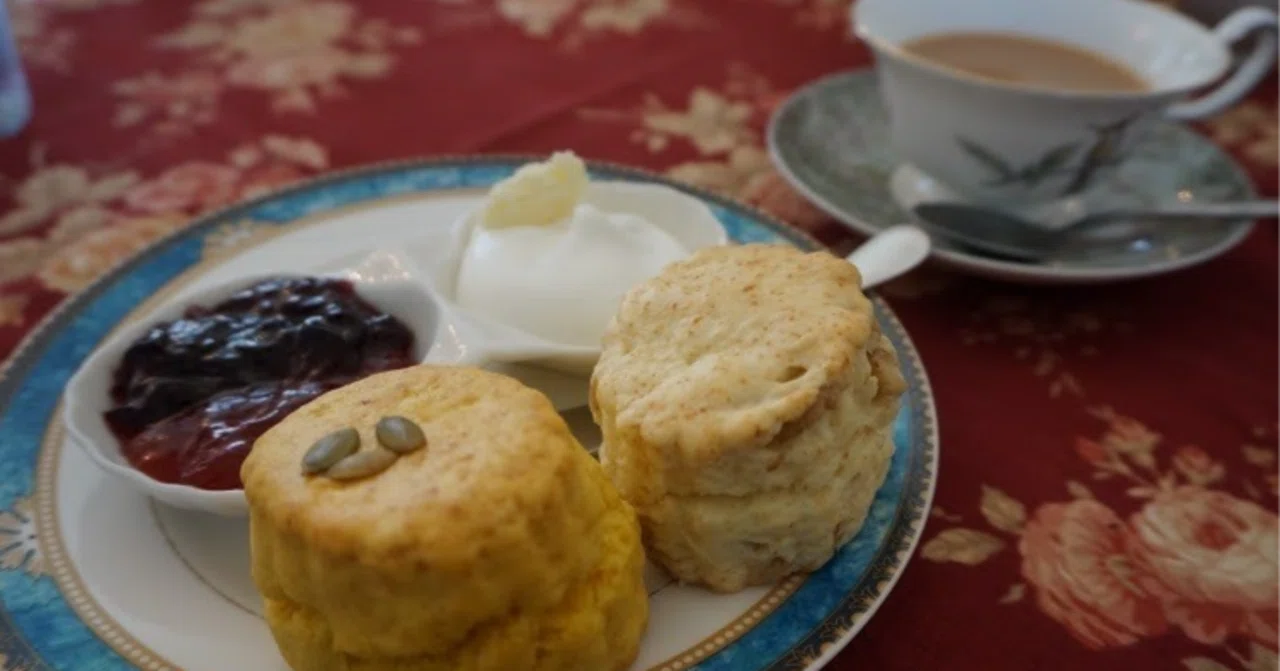SCONES from the morning｜みの🫧
