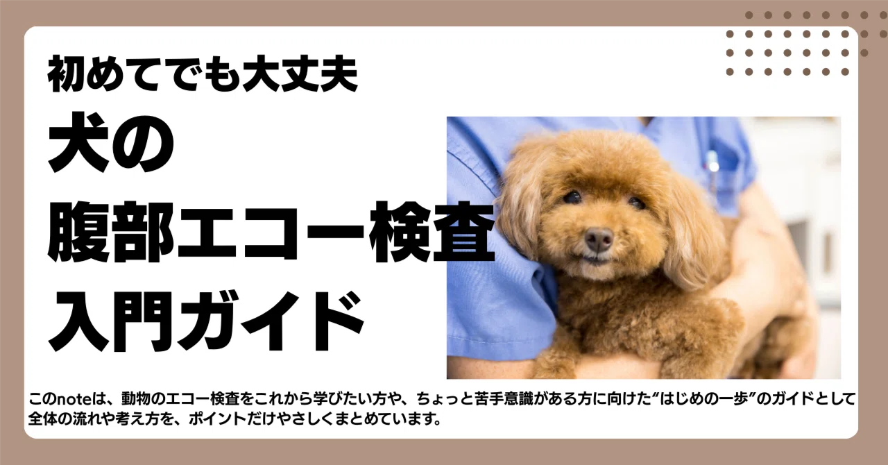 裁断済み‼️犬と猫の腹部超音波の描出レッスン 戸島下巻 視聴できる