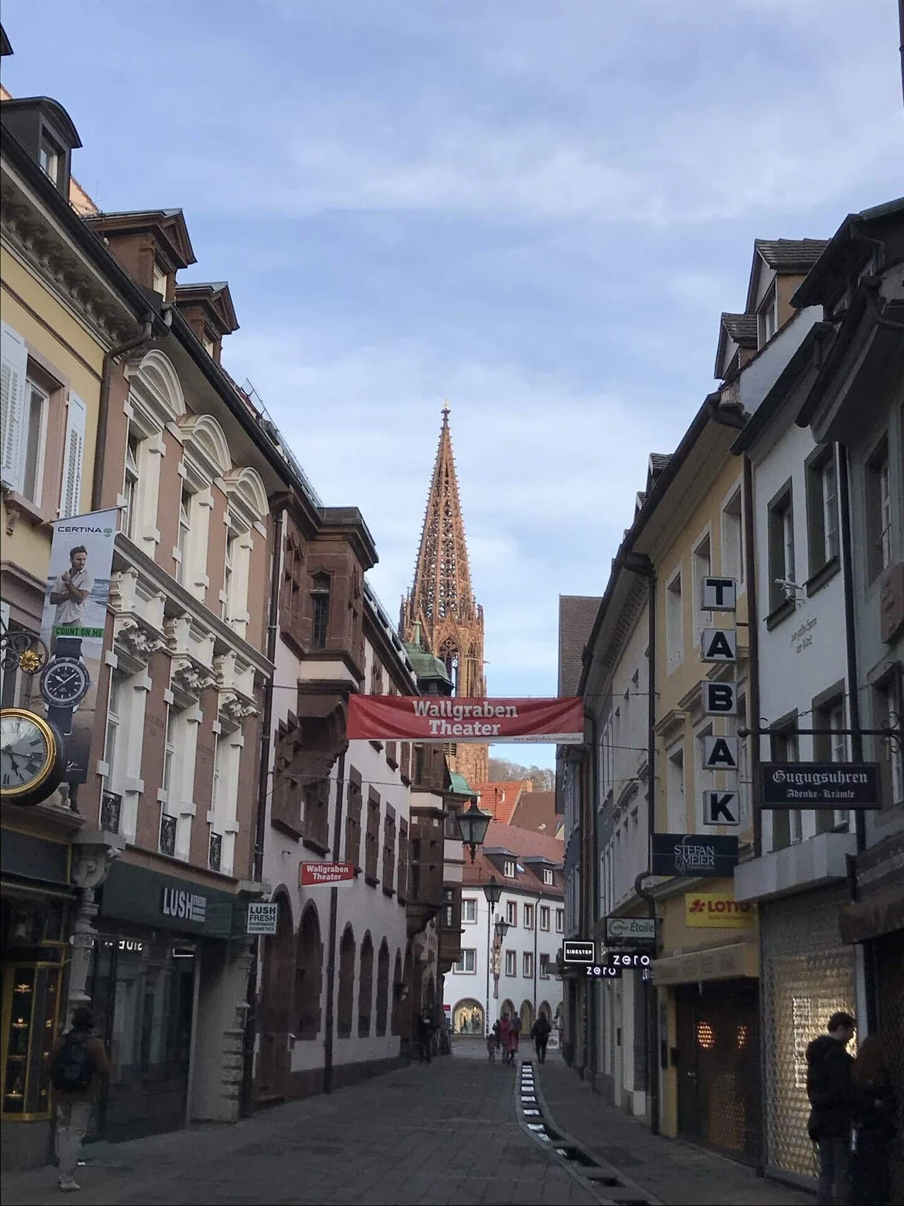 ドイツ、フライブルク街並みの風景 リトグラフ レンズを通して見るフライブルク：ドイツで最も晴れた街フライブルクの
