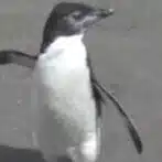 🐧 ngym 👷 ノオト 📌 のて 🐬