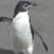 🐧 ngym 👷 ノオト 📌 のて 🐬