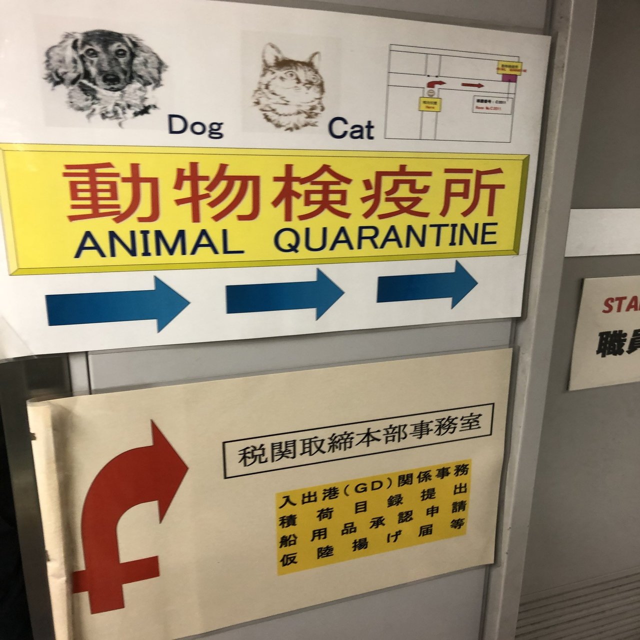 家族4人 犬1匹の大移動 大阪 埼玉 成田空港近くのホテルに前泊です Nishi 未来が見えてるらしい Note