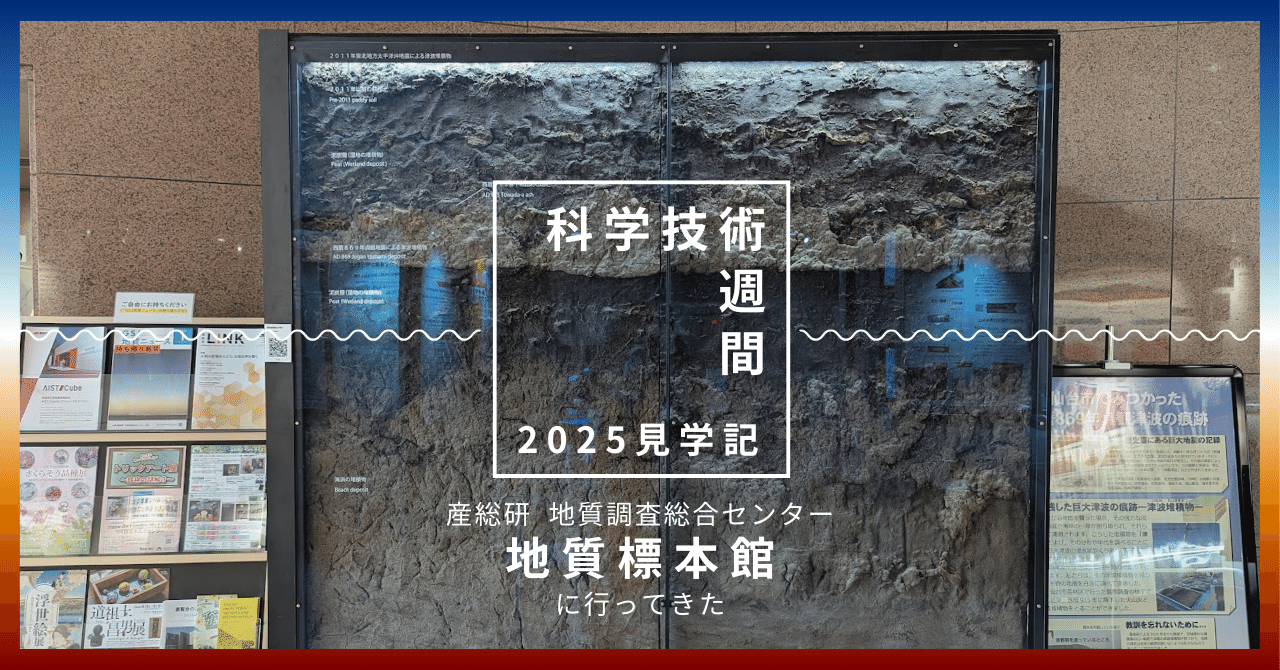 地質標本館|科学技術週間2025|町田 奈桜 MACHIDA Nao 地質標本館|科学技術週間2025|町田 奈桜 MACHIDA Nao