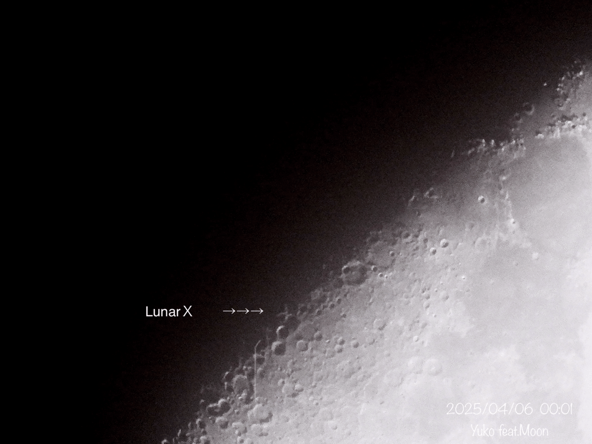 月に想いを No.15｜Yuko feat.Moon